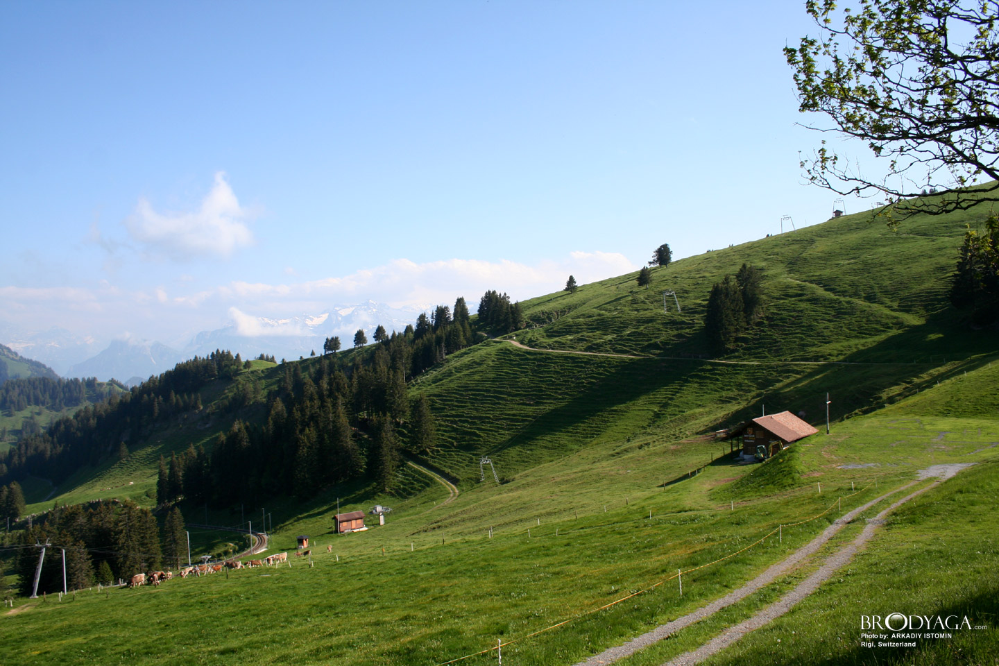 Rigi